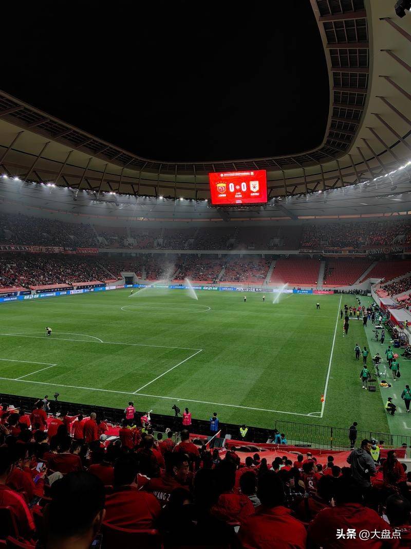 足球赛场上的精彩表现震撼全场观众