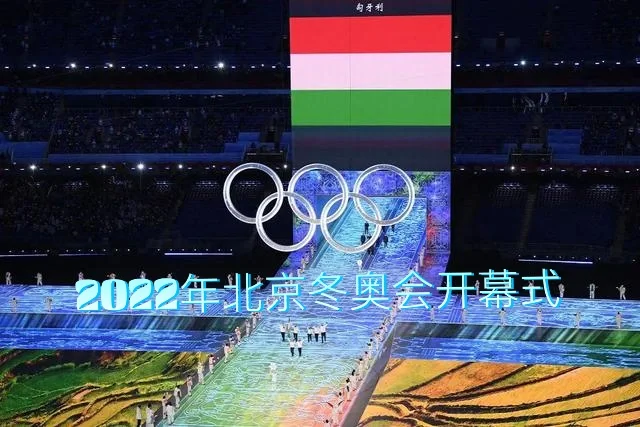 匈牙利战胜对手，实力逐渐显露