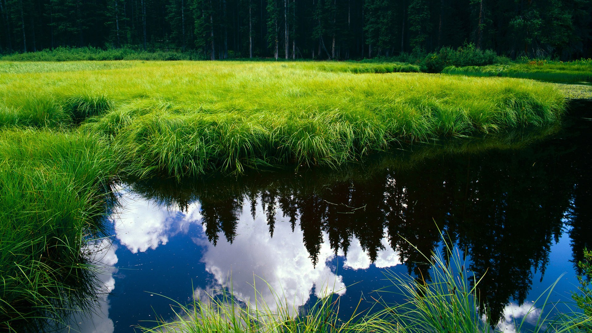 末节18分掀翻湖人！米切尔诠释何为关键先生