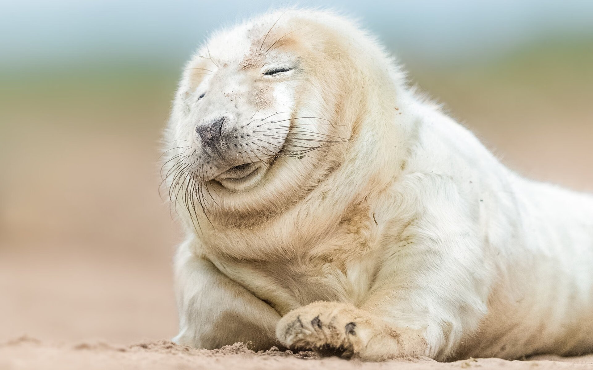 引擎咆哮,战火重燃,米切尔在F1揭幕战之夜点燃赛场