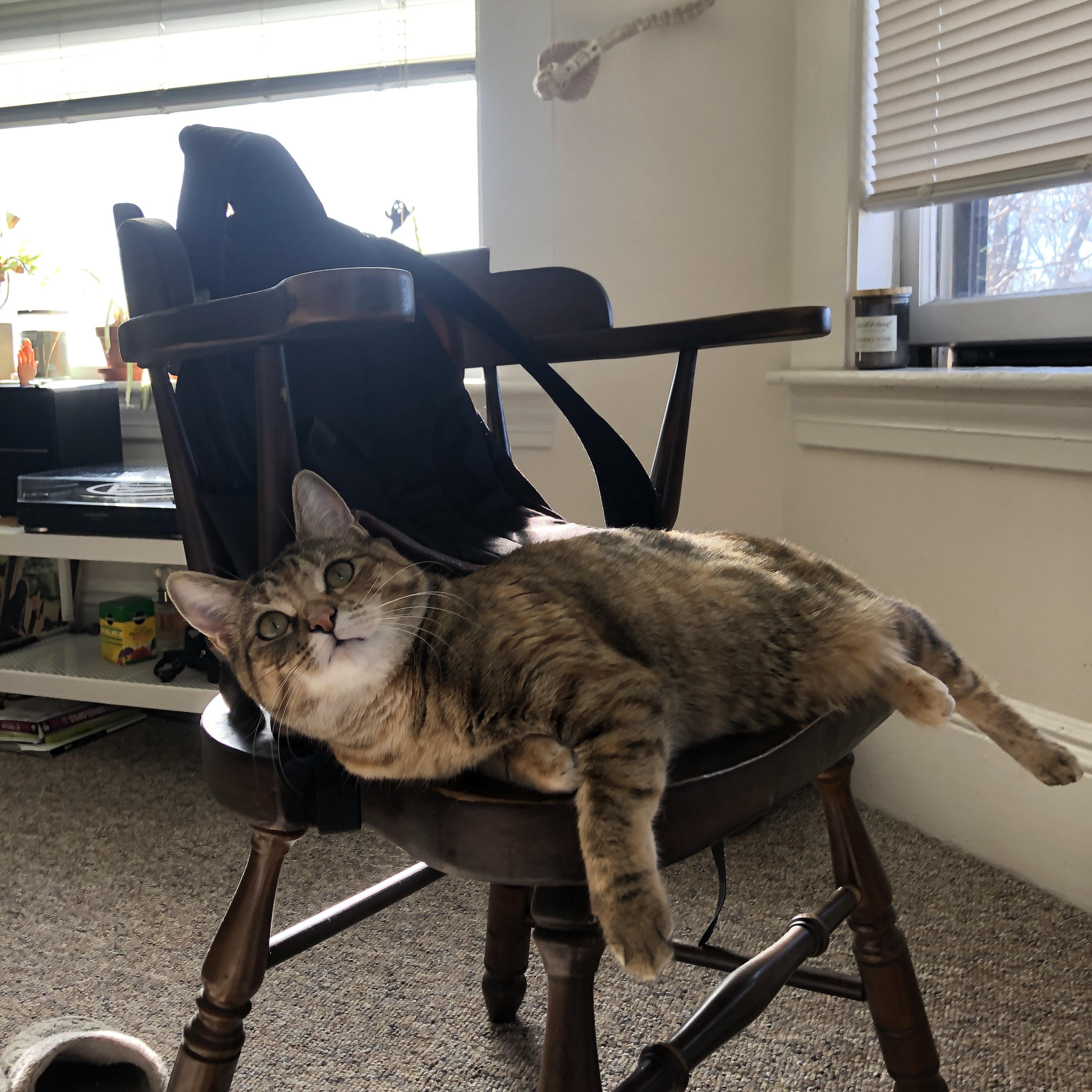 尼克斯对阵骑士，小贾伦的表现堪称一部现代内线生存教科书