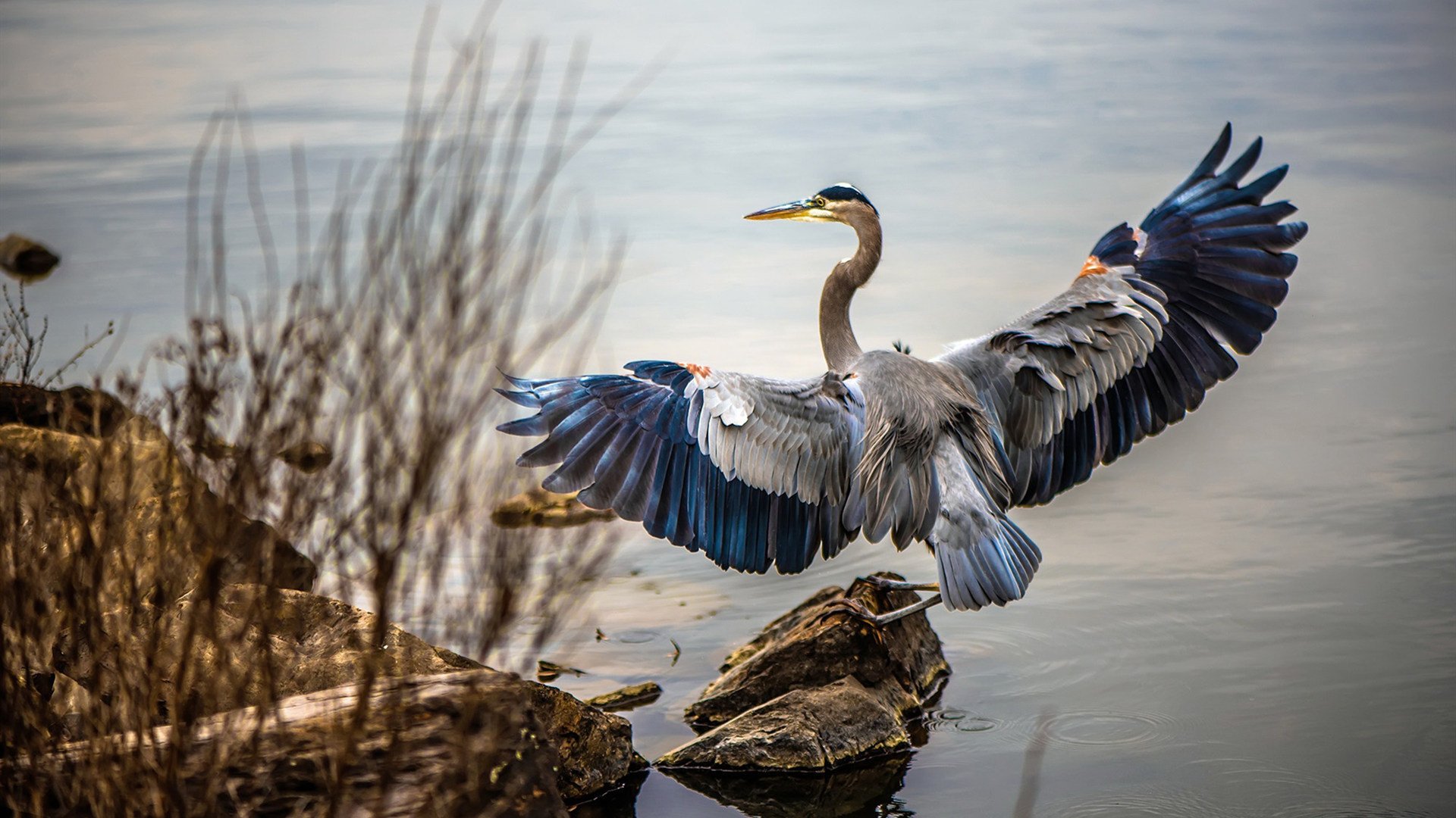 当球队忘记赢球密码，保罗拿出了那把从未生锈的钥匙