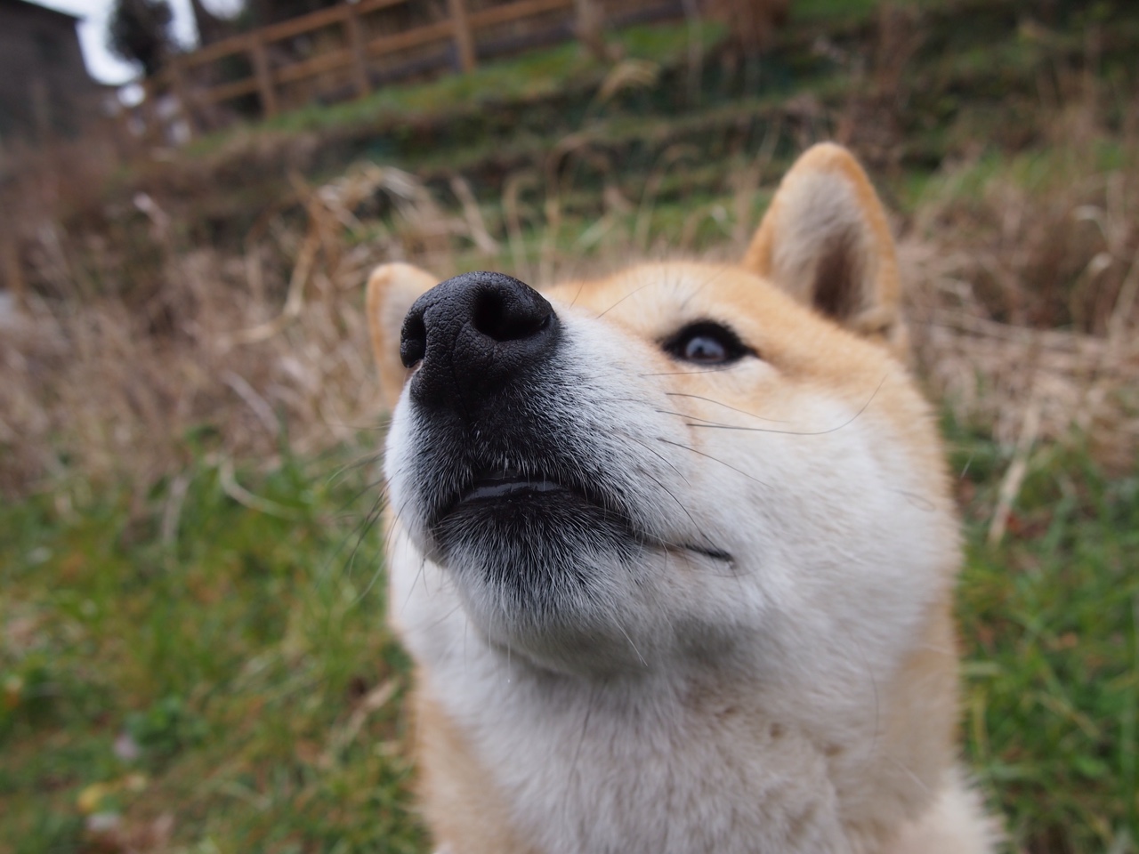 大舞台的心脏，当乔治扛起山西，在最后三秒击穿开拓者