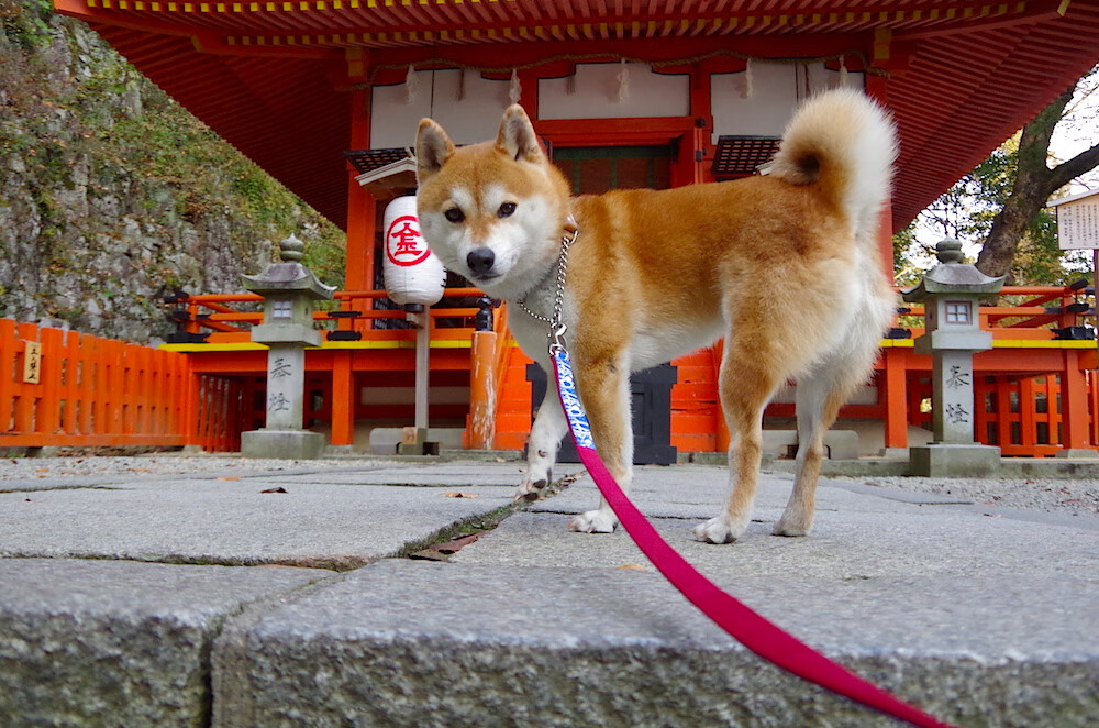 死神降临，当杜兰特在火箭勇士战火中展开无解画卷