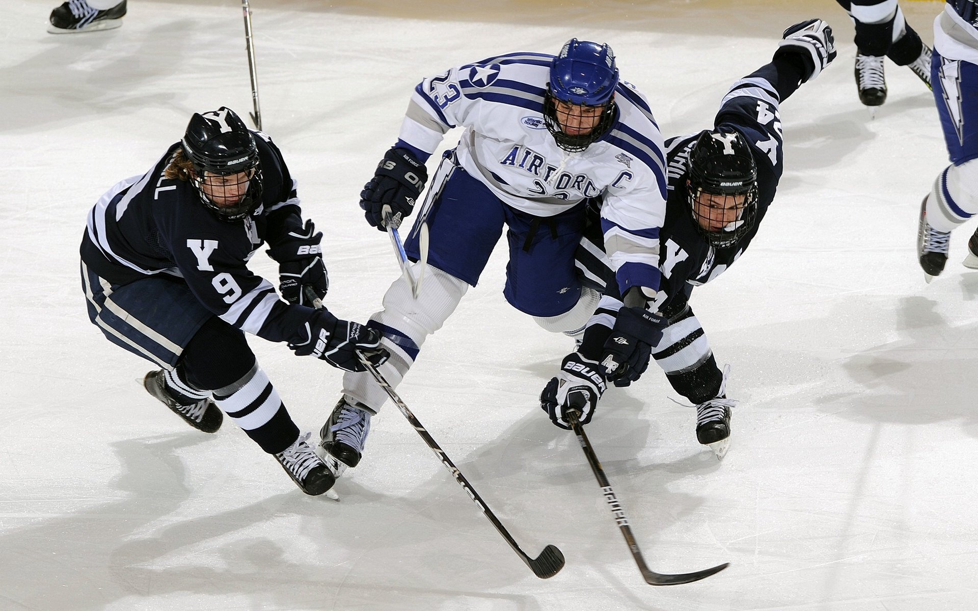 铁血森林狼晋级之路,无解塔图姆昭示新时代