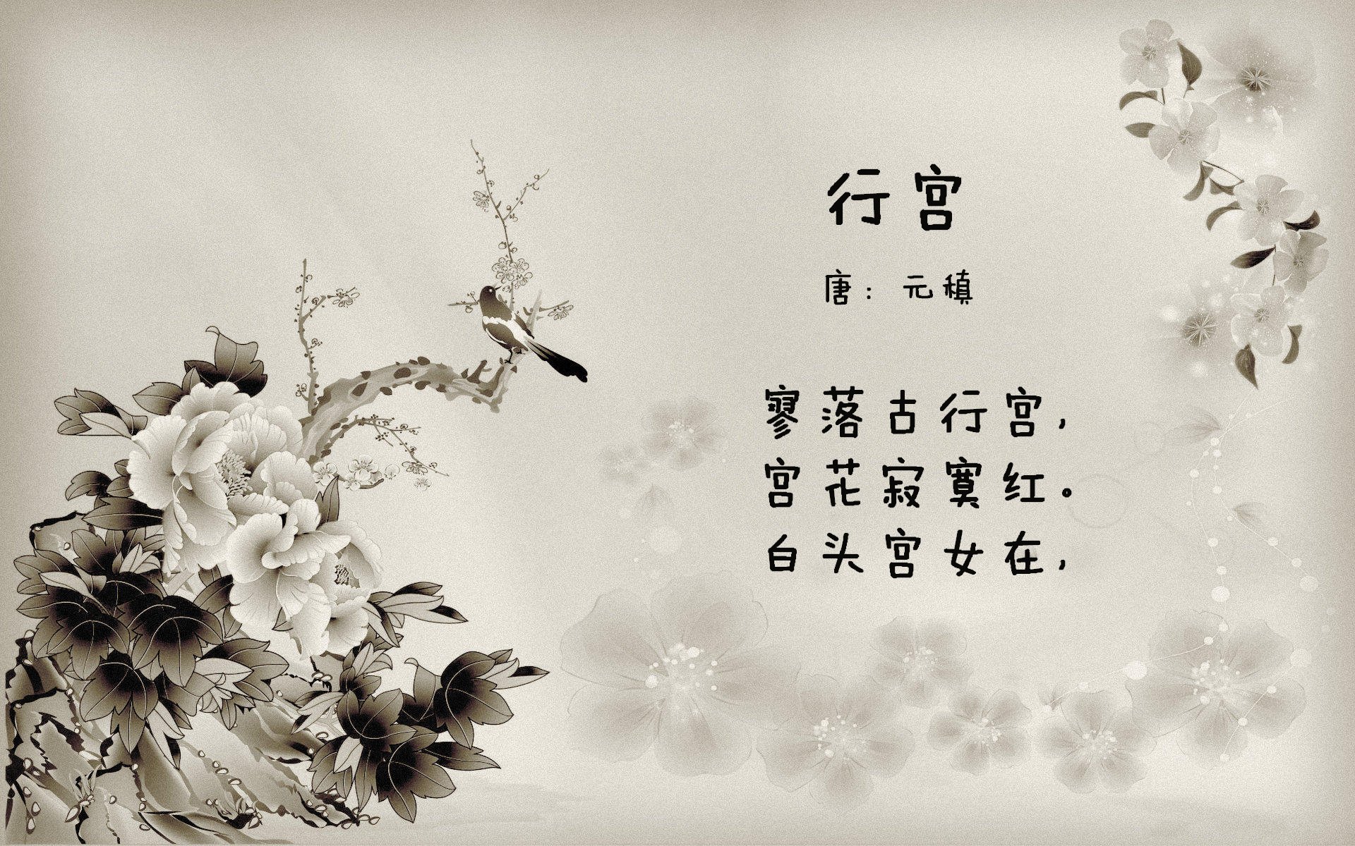 金州客战深圳终章，绝境血拼，克莱冷箭定乾坤