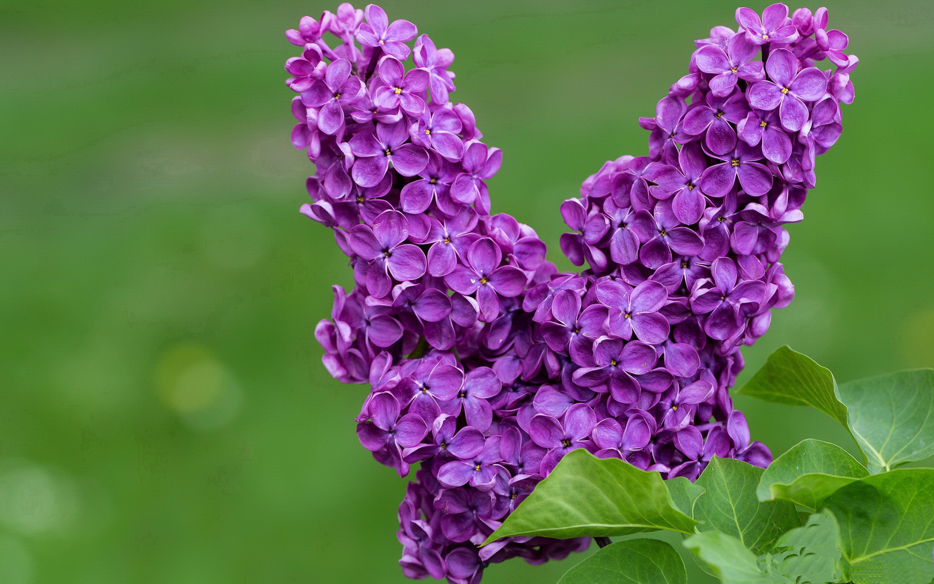 孔德绝杀！乌拉圭绝境突围，宿命枷锁终断裂