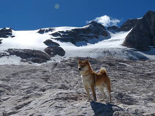 银河倾斜之夜，当莫德里奇用永恒舞步，刻下德比史诗