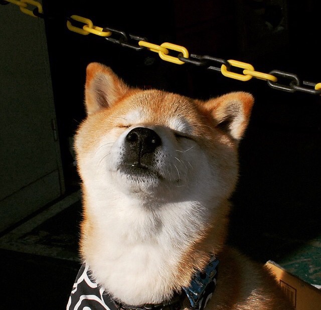 奥运周期关键战焦点战,快船淘汰森林狼的深远影响