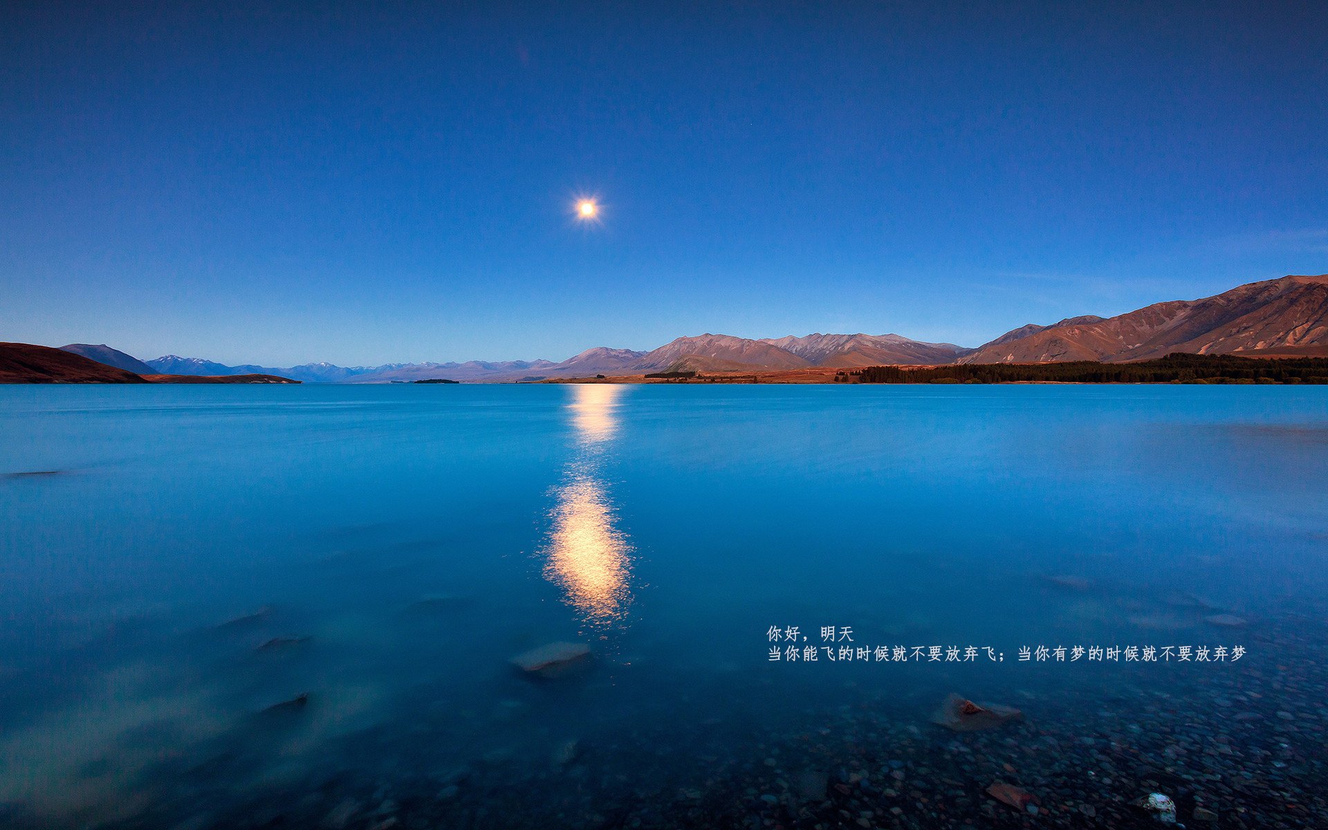 绿茵场与硬木地板的交响,意甲焦点战与独行侠击溃灰熊的跨体育启示