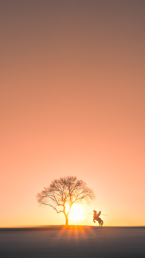 篮球艺术家,拉梅洛用39分狂想曲肢解北京队的钢铁防线