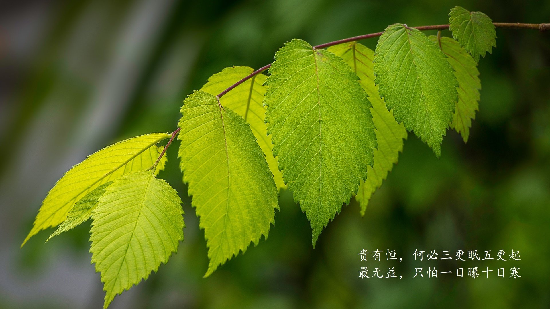 绝地反击!伊朗逆转芬兰惊险取胜,加维闪耀全场,替补奇兵一战封神