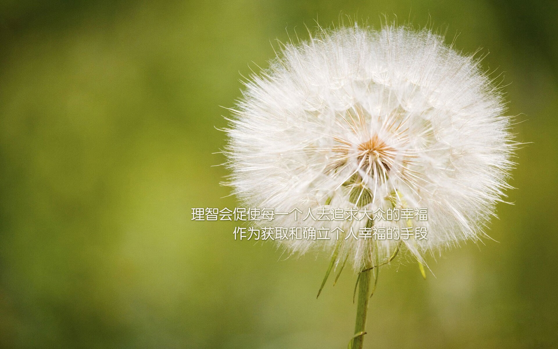 北欧铁骑折戟布拉格，捷克冷血反击击碎丹麦童话，久保建英闪耀2026世界杯强强对话