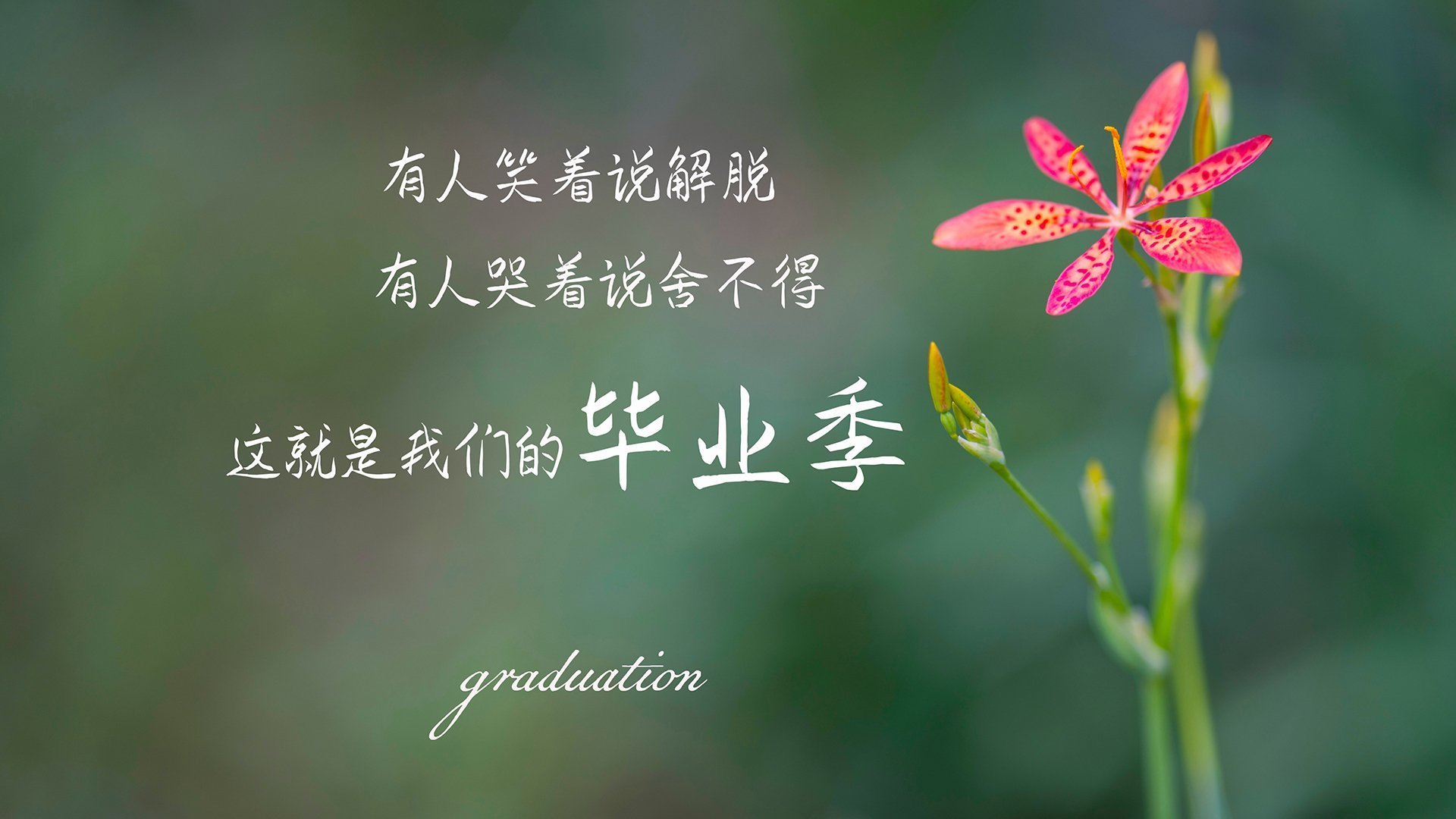 斗牛士的绝地反击，西班牙逆转乌拉圭，B费领衔2026世界杯F组惊天翻盘