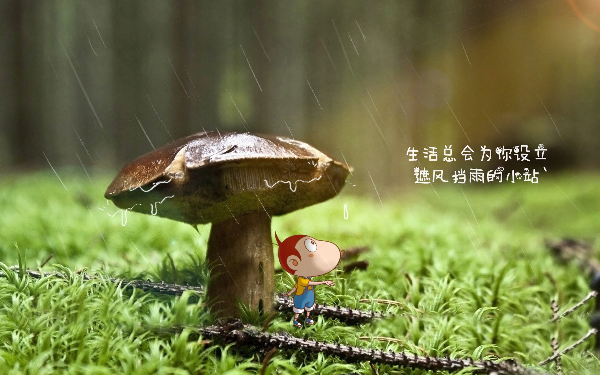 致命一击！努涅斯撕裂北欧防线，突尼斯强势压制芬兰捍卫G组荣耀