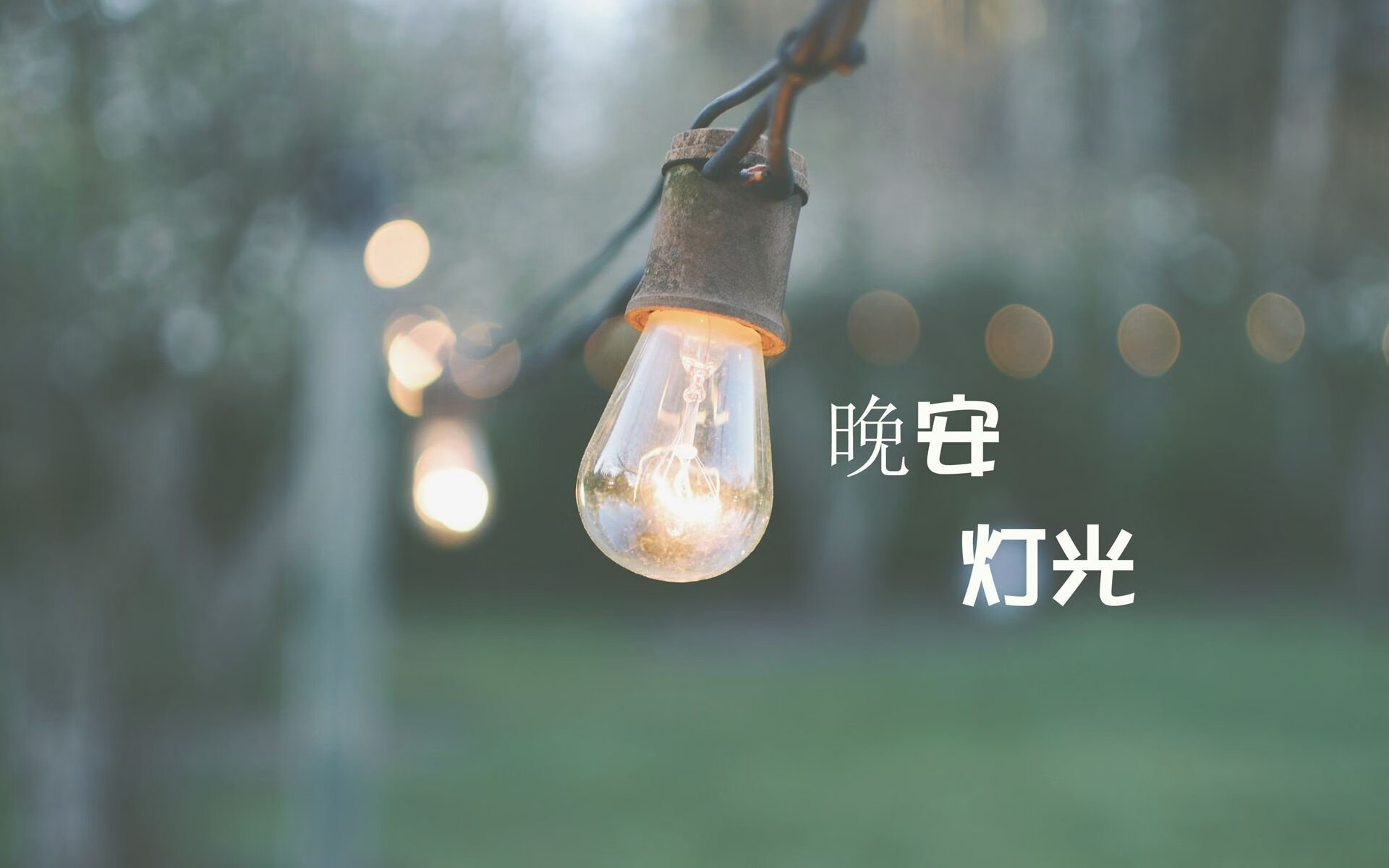 黑马狂飙，喀麦隆完胜丹麦，德容致命一击挺进2026世界杯决赛