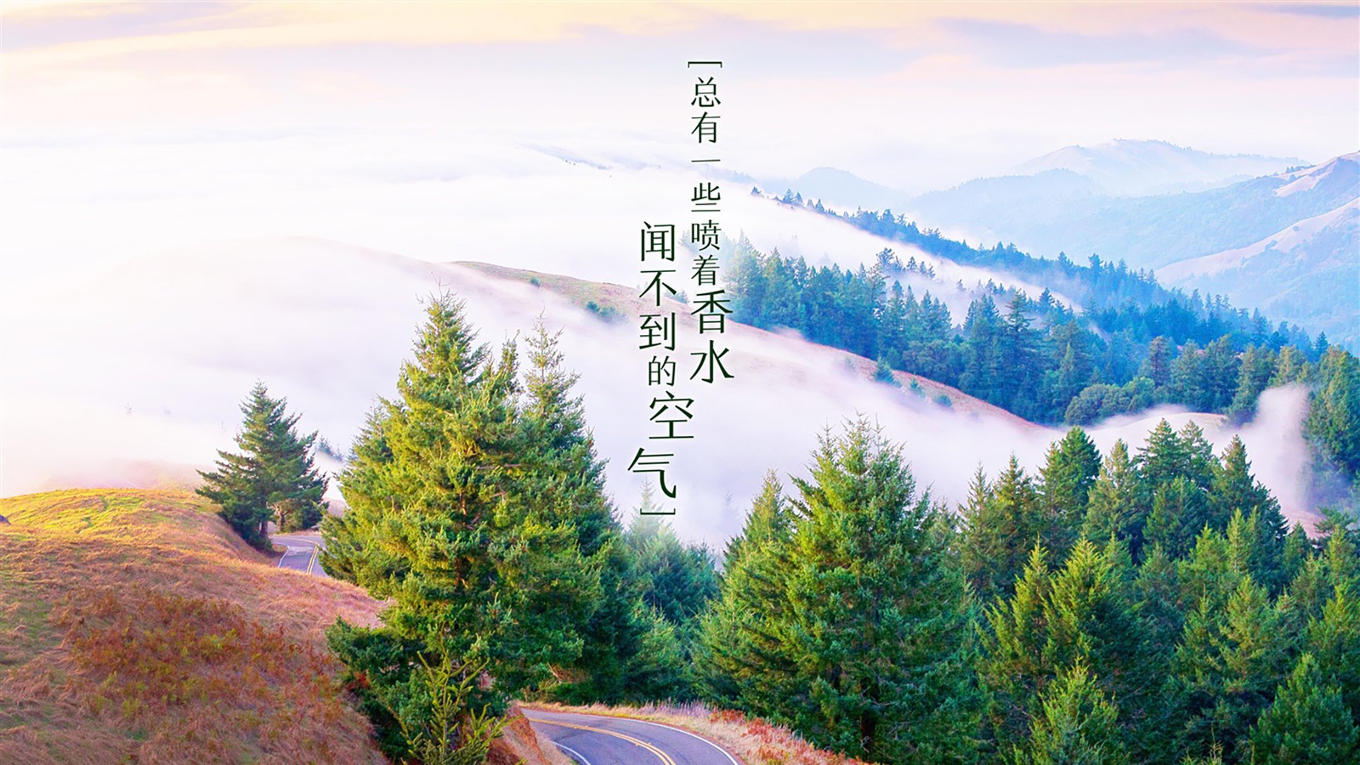 费利克斯引领蓝白风暴,波兰防线在默契配合中崩塌—2026世界杯F组焦点战纪实