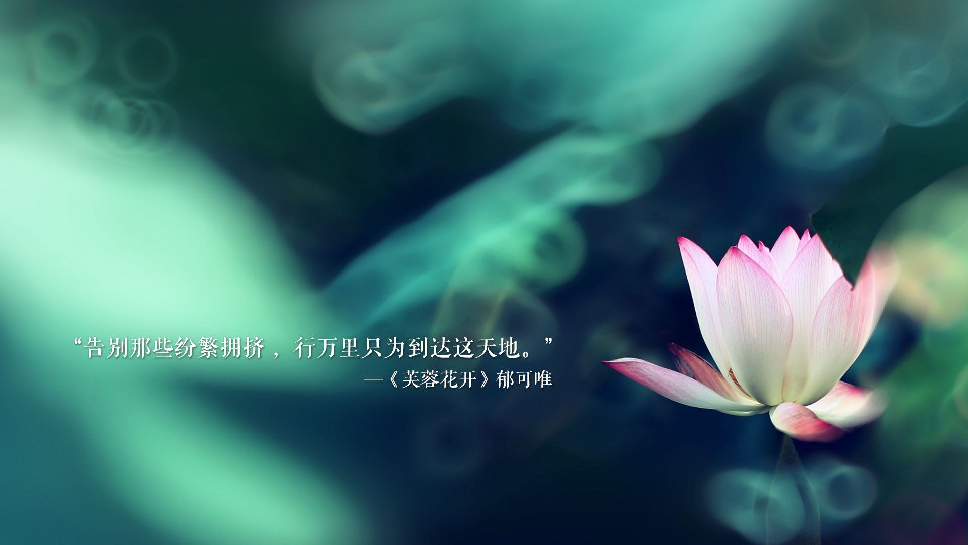 硝烟弥漫的B组巅峰战,秘鲁铁骑踏破斗牛士,德布劳内巨星光芒照亮夜空